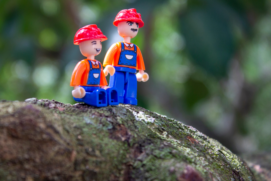 Parrainage/Mentorat dans votre entreprise de construction