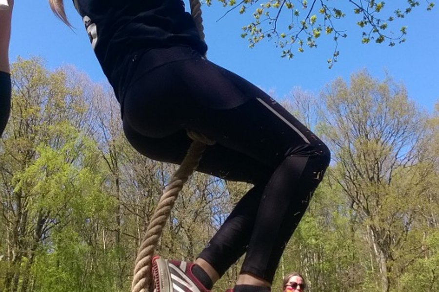 31